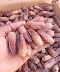 Balah - بلح بركاوي