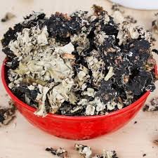 Stone Flower (Dagad Phool)